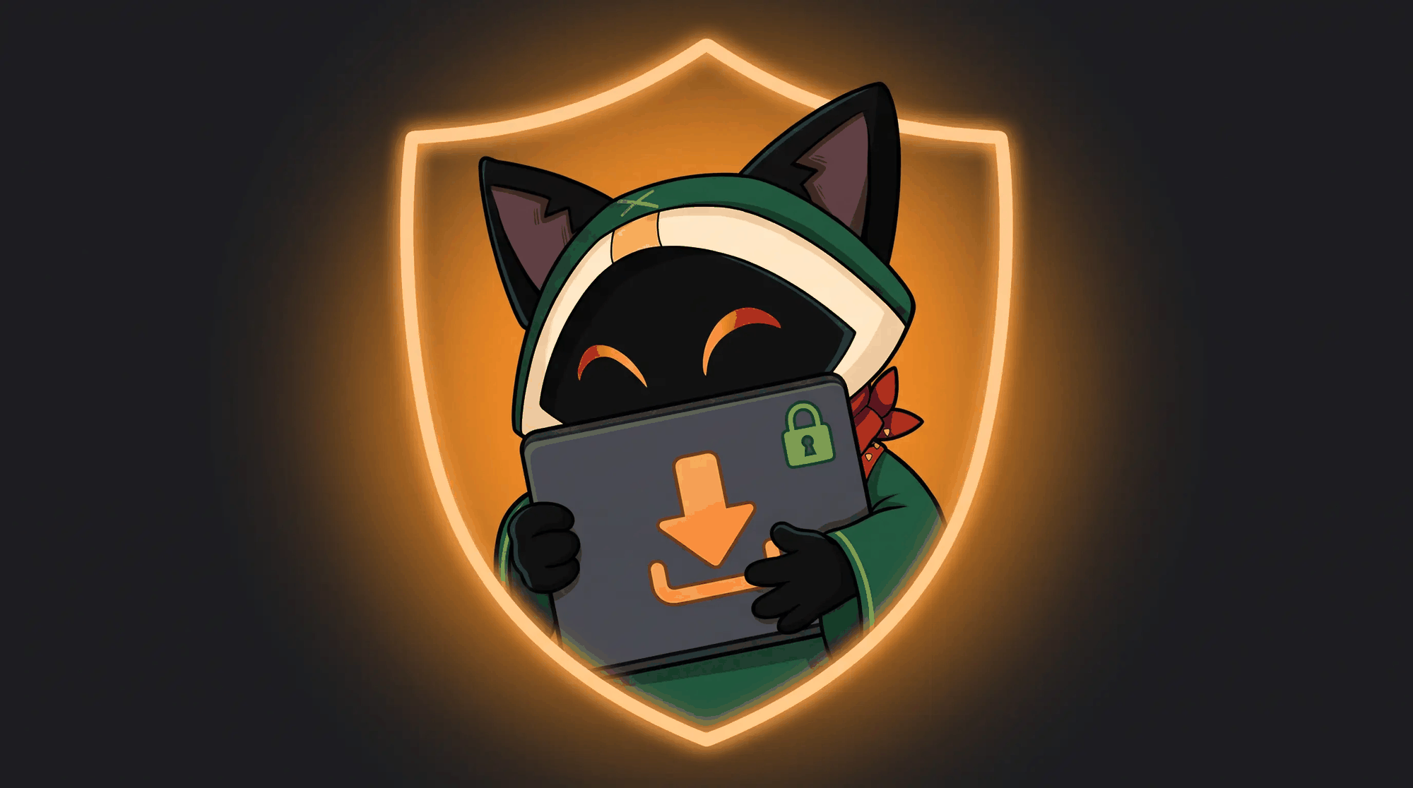 OmniGet Offline Privacy Boundary